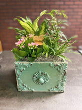 Load image into Gallery viewer, Drawer Dishgarden
