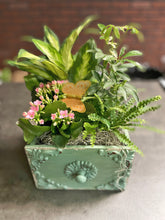 Load image into Gallery viewer, Drawer Dishgarden
