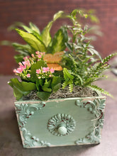Load image into Gallery viewer, Drawer Dishgarden
