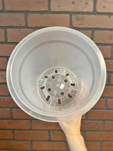 7" Orchid Liner