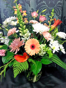 MD Arrangements