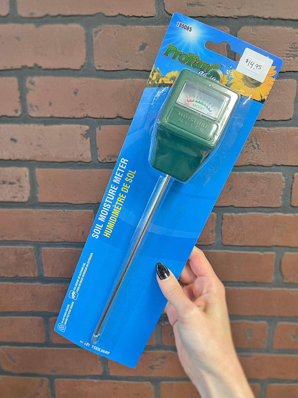 Moisture Meter