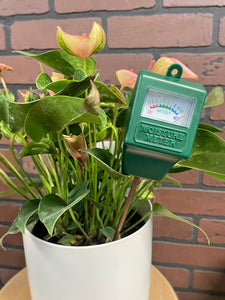 Moisture Meter