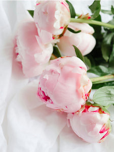 MD Peonies