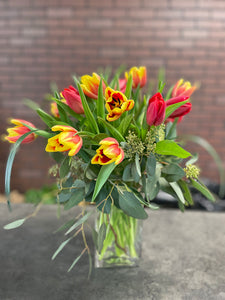 Cut Tulips