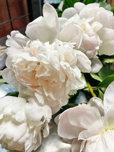 MD Peonies