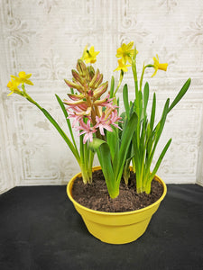 Bulb Gardens