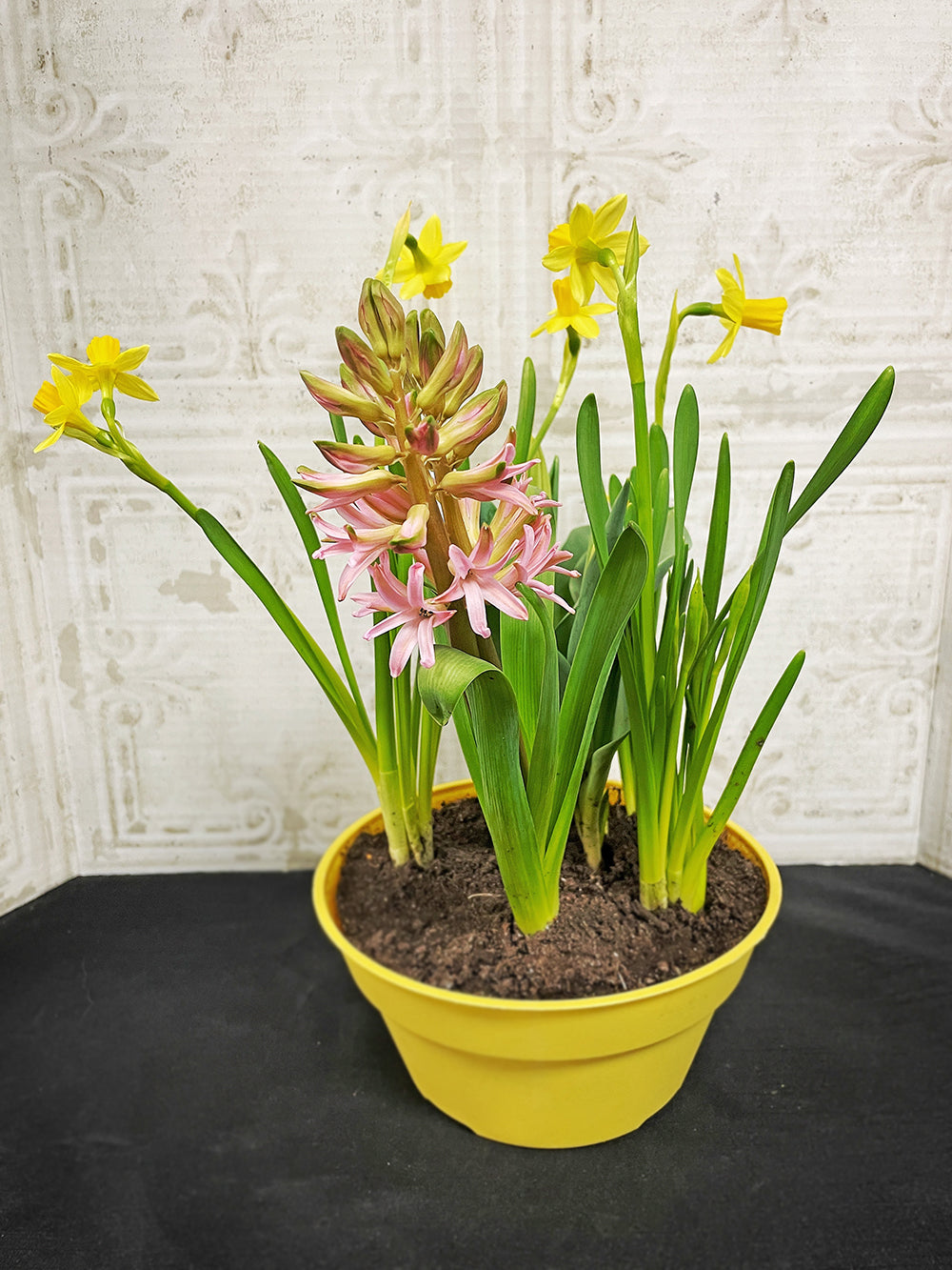 Bulb Gardens