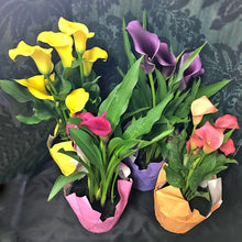 Load image into Gallery viewer, Calla Lilies
